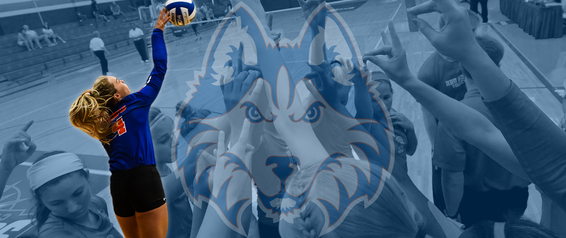 Slider Image 1