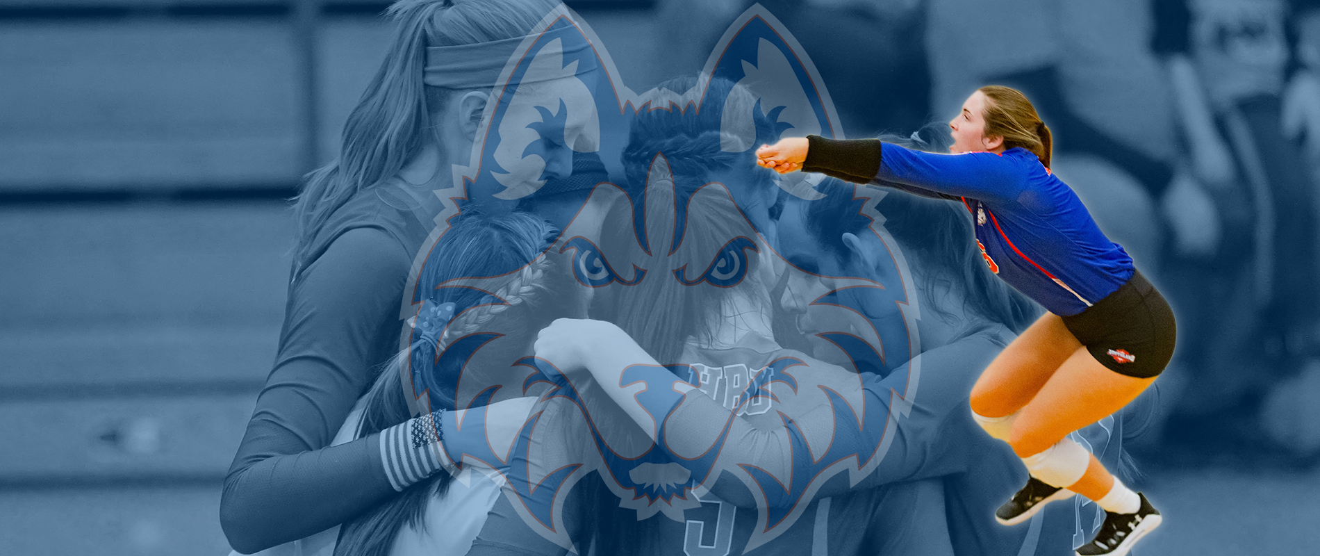 Slider Image 2